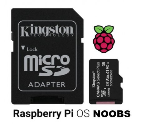 Cartão Kingston Canvas 64GB Select Plus MicroSDHC UHS-I A1 (Class 10) - Noobs Kingston