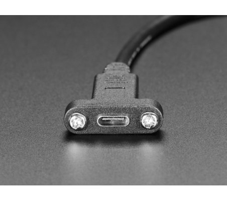 Cabo USB C Painel para USB A - 30cm
